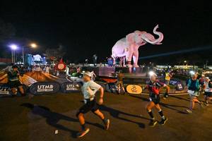 BIB: 
                            <button type="button" onclick="openModal(25775258)" class="btn btn-primary btn-sm float-right btn-popup" data-toggle="modal" data-target=".modal-high-quality">
                        <i class="fas fa-shopping-cart"></i> Add to Cart
                    </button>
                                            <button type="button" onclick="isThisMe(25775258, true)" class="btn btn-success btn-sm float-right btn-popup btn-isme hidden" data-toggle="tooltip" data-placement="bottom" title="นี่คือรูปของคุณใช่ไหม คลิกที่นี่เพื่อเอาเข้าอัลบั้ม">
                        <i class="fas fa-plus"></i> Add to album
                    </button>
                    <button type="button" onclick="isThisMe(25775258, false)" class="btn btn-warning btn-sm float-right btn-popup btn-isnotme hidden">
                        <i class="fas fa-ban"></i> Remove from album
                    </button>