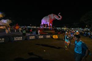 BIB: 
                            <button type="button" onclick="openModal(25775335)" class="btn btn-primary btn-sm float-right btn-popup" data-toggle="modal" data-target=".modal-high-quality">
                        <i class="fas fa-shopping-cart"></i> Add to Cart
                    </button>
                                            <button type="button" onclick="isThisMe(25775335, true)" class="btn btn-success btn-sm float-right btn-popup btn-isme hidden" data-toggle="tooltip" data-placement="bottom" title="นี่คือรูปของคุณใช่ไหม คลิกที่นี่เพื่อเอาเข้าอัลบั้ม">
                        <i class="fas fa-plus"></i> Add to album
                    </button>
                    <button type="button" onclick="isThisMe(25775335, false)" class="btn btn-warning btn-sm float-right btn-popup btn-isnotme hidden">
                        <i class="fas fa-ban"></i> Remove from album
                    </button>