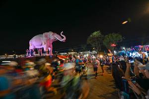 BIB: 
                            <button type="button" onclick="openModal(25775431)" class="btn btn-primary btn-sm float-right btn-popup" data-toggle="modal" data-target=".modal-high-quality">
                        <i class="fas fa-shopping-cart"></i> Add to Cart
                    </button>
                                            <button type="button" onclick="isThisMe(25775431, true)" class="btn btn-success btn-sm float-right btn-popup btn-isme hidden" data-toggle="tooltip" data-placement="bottom" title="นี่คือรูปของคุณใช่ไหม คลิกที่นี่เพื่อเอาเข้าอัลบั้ม">
                        <i class="fas fa-plus"></i> Add to album
                    </button>
                    <button type="button" onclick="isThisMe(25775431, false)" class="btn btn-warning btn-sm float-right btn-popup btn-isnotme hidden">
                        <i class="fas fa-ban"></i> Remove from album
                    </button>