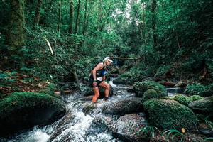 BIB: 
                            <button type="button" onclick="openModal(25245157)" class="btn btn-primary btn-sm float-right btn-popup" data-toggle="modal" data-target=".modal-high-quality">
                        <i class="fas fa-shopping-cart"></i> Add to Cart
                    </button>
                                            <button type="button" onclick="isThisMe(25245157, true)" class="btn btn-success btn-sm float-right btn-popup btn-isme hidden" data-toggle="tooltip" data-placement="bottom" title="นี่คือรูปของคุณใช่ไหม คลิกที่นี่เพื่อเอาเข้าอัลบั้ม">
                        <i class="fas fa-plus"></i> Add to album
                    </button>
                    <button type="button" onclick="isThisMe(25245157, false)" class="btn btn-warning btn-sm float-right btn-popup btn-isnotme hidden">
                        <i class="fas fa-ban"></i> Remove from album
                    </button>