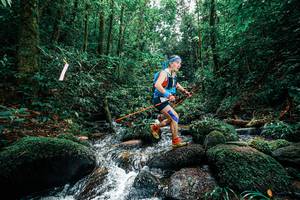 BIB: 
                            <button type="button" onclick="openModal(25245262)" class="btn btn-primary btn-sm float-right btn-popup" data-toggle="modal" data-target=".modal-high-quality">
                        <i class="fas fa-shopping-cart"></i> Add to Cart
                    </button>
                                            <button type="button" onclick="isThisMe(25245262, true)" class="btn btn-success btn-sm float-right btn-popup btn-isme hidden" data-toggle="tooltip" data-placement="bottom" title="นี่คือรูปของคุณใช่ไหม คลิกที่นี่เพื่อเอาเข้าอัลบั้ม">
                        <i class="fas fa-plus"></i> Add to album
                    </button>
                    <button type="button" onclick="isThisMe(25245262, false)" class="btn btn-warning btn-sm float-right btn-popup btn-isnotme hidden">
                        <i class="fas fa-ban"></i> Remove from album
                    </button>