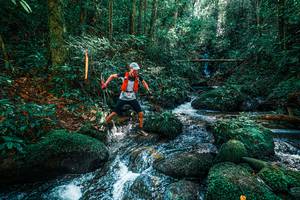 BIB: 
                            <button type="button" onclick="openModal(25244651)" class="btn btn-primary btn-sm float-right btn-popup" data-toggle="modal" data-target=".modal-high-quality">
                        <i class="fas fa-shopping-cart"></i> Add to Cart
                    </button>
                                            <button type="button" onclick="isThisMe(25244651, true)" class="btn btn-success btn-sm float-right btn-popup btn-isme hidden" data-toggle="tooltip" data-placement="bottom" title="นี่คือรูปของคุณใช่ไหม คลิกที่นี่เพื่อเอาเข้าอัลบั้ม">
                        <i class="fas fa-plus"></i> Add to album
                    </button>
                    <button type="button" onclick="isThisMe(25244651, false)" class="btn btn-warning btn-sm float-right btn-popup btn-isnotme hidden">
                        <i class="fas fa-ban"></i> Remove from album
                    </button>