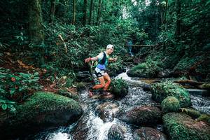 BIB: 
                            <button type="button" onclick="openModal(25246549)" class="btn btn-primary btn-sm float-right btn-popup" data-toggle="modal" data-target=".modal-high-quality">
                        <i class="fas fa-shopping-cart"></i> Add to Cart
                    </button>
                                            <button type="button" onclick="isThisMe(25246549, true)" class="btn btn-success btn-sm float-right btn-popup btn-isme hidden" data-toggle="tooltip" data-placement="bottom" title="นี่คือรูปของคุณใช่ไหม คลิกที่นี่เพื่อเอาเข้าอัลบั้ม">
                        <i class="fas fa-plus"></i> Add to album
                    </button>
                    <button type="button" onclick="isThisMe(25246549, false)" class="btn btn-warning btn-sm float-right btn-popup btn-isnotme hidden">
                        <i class="fas fa-ban"></i> Remove from album
                    </button>