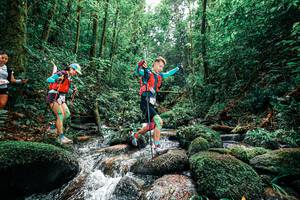 BIB: 
                            <button type="button" onclick="openModal(25245288)" class="btn btn-primary btn-sm float-right btn-popup" data-toggle="modal" data-target=".modal-high-quality">
                        <i class="fas fa-shopping-cart"></i> Add to Cart
                    </button>
                                            <button type="button" onclick="isThisMe(25245288, true)" class="btn btn-success btn-sm float-right btn-popup btn-isme hidden" data-toggle="tooltip" data-placement="bottom" title="นี่คือรูปของคุณใช่ไหม คลิกที่นี่เพื่อเอาเข้าอัลบั้ม">
                        <i class="fas fa-plus"></i> Add to album
                    </button>
                    <button type="button" onclick="isThisMe(25245288, false)" class="btn btn-warning btn-sm float-right btn-popup btn-isnotme hidden">
                        <i class="fas fa-ban"></i> Remove from album
                    </button>