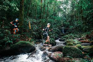 BIB: 
                            <button type="button" onclick="openModal(25244295)" class="btn btn-primary btn-sm float-right btn-popup" data-toggle="modal" data-target=".modal-high-quality">
                        <i class="fas fa-shopping-cart"></i> Add to Cart
                    </button>
                                            <button type="button" onclick="isThisMe(25244295, true)" class="btn btn-success btn-sm float-right btn-popup btn-isme hidden" data-toggle="tooltip" data-placement="bottom" title="นี่คือรูปของคุณใช่ไหม คลิกที่นี่เพื่อเอาเข้าอัลบั้ม">
                        <i class="fas fa-plus"></i> Add to album
                    </button>
                    <button type="button" onclick="isThisMe(25244295, false)" class="btn btn-warning btn-sm float-right btn-popup btn-isnotme hidden">
                        <i class="fas fa-ban"></i> Remove from album
                    </button>