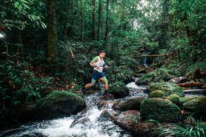 BIB: 
                            <button type="button" onclick="openModal(25244350)" class="btn btn-primary btn-sm float-right btn-popup" data-toggle="modal" data-target=".modal-high-quality">
                        <i class="fas fa-shopping-cart"></i> Add to Cart
                    </button>
                                            <button type="button" onclick="isThisMe(25244350, true)" class="btn btn-success btn-sm float-right btn-popup btn-isme hidden" data-toggle="tooltip" data-placement="bottom" title="นี่คือรูปของคุณใช่ไหม คลิกที่นี่เพื่อเอาเข้าอัลบั้ม">
                        <i class="fas fa-plus"></i> Add to album
                    </button>
                    <button type="button" onclick="isThisMe(25244350, false)" class="btn btn-warning btn-sm float-right btn-popup btn-isnotme hidden">
                        <i class="fas fa-ban"></i> Remove from album
                    </button>