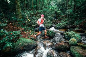 BIB: 
                            <button type="button" onclick="openModal(25246884)" class="btn btn-primary btn-sm float-right btn-popup" data-toggle="modal" data-target=".modal-high-quality">
                        <i class="fas fa-shopping-cart"></i> Add to Cart
                    </button>
                                            <button type="button" onclick="isThisMe(25246884, true)" class="btn btn-success btn-sm float-right btn-popup btn-isme hidden" data-toggle="tooltip" data-placement="bottom" title="นี่คือรูปของคุณใช่ไหม คลิกที่นี่เพื่อเอาเข้าอัลบั้ม">
                        <i class="fas fa-plus"></i> Add to album
                    </button>
                    <button type="button" onclick="isThisMe(25246884, false)" class="btn btn-warning btn-sm float-right btn-popup btn-isnotme hidden">
                        <i class="fas fa-ban"></i> Remove from album
                    </button>