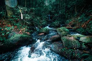 BIB: 
                            <button type="button" onclick="openModal(25247796)" class="btn btn-primary btn-sm float-right btn-popup" data-toggle="modal" data-target=".modal-high-quality">
                        <i class="fas fa-shopping-cart"></i> Add to Cart
                    </button>
                                            <button type="button" onclick="isThisMe(25247796, true)" class="btn btn-success btn-sm float-right btn-popup btn-isme hidden" data-toggle="tooltip" data-placement="bottom" title="นี่คือรูปของคุณใช่ไหม คลิกที่นี่เพื่อเอาเข้าอัลบั้ม">
                        <i class="fas fa-plus"></i> Add to album
                    </button>
                    <button type="button" onclick="isThisMe(25247796, false)" class="btn btn-warning btn-sm float-right btn-popup btn-isnotme hidden">
                        <i class="fas fa-ban"></i> Remove from album
                    </button>