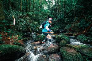 BIB: 
                            <button type="button" onclick="openModal(25246833)" class="btn btn-primary btn-sm float-right btn-popup" data-toggle="modal" data-target=".modal-high-quality">
                        <i class="fas fa-shopping-cart"></i> Add to Cart
                    </button>
                                            <button type="button" onclick="isThisMe(25246833, true)" class="btn btn-success btn-sm float-right btn-popup btn-isme hidden" data-toggle="tooltip" data-placement="bottom" title="นี่คือรูปของคุณใช่ไหม คลิกที่นี่เพื่อเอาเข้าอัลบั้ม">
                        <i class="fas fa-plus"></i> Add to album
                    </button>
                    <button type="button" onclick="isThisMe(25246833, false)" class="btn btn-warning btn-sm float-right btn-popup btn-isnotme hidden">
                        <i class="fas fa-ban"></i> Remove from album
                    </button>