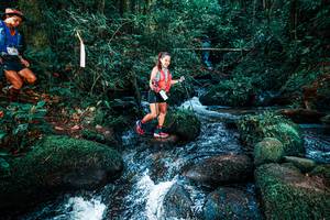 BIB: 
                            <button type="button" onclick="openModal(25247402)" class="btn btn-primary btn-sm float-right btn-popup" data-toggle="modal" data-target=".modal-high-quality">
                        <i class="fas fa-shopping-cart"></i> Add to Cart
                    </button>
                                            <button type="button" onclick="isThisMe(25247402, true)" class="btn btn-success btn-sm float-right btn-popup btn-isme hidden" data-toggle="tooltip" data-placement="bottom" title="นี่คือรูปของคุณใช่ไหม คลิกที่นี่เพื่อเอาเข้าอัลบั้ม">
                        <i class="fas fa-plus"></i> Add to album
                    </button>
                    <button type="button" onclick="isThisMe(25247402, false)" class="btn btn-warning btn-sm float-right btn-popup btn-isnotme hidden">
                        <i class="fas fa-ban"></i> Remove from album
                    </button>