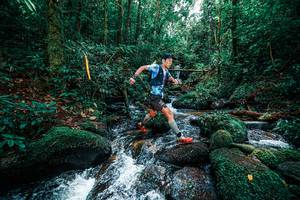 BIB: 
                            <button type="button" onclick="openModal(25244822)" class="btn btn-primary btn-sm float-right btn-popup" data-toggle="modal" data-target=".modal-high-quality">
                        <i class="fas fa-shopping-cart"></i> Add to Cart
                    </button>
                                            <button type="button" onclick="isThisMe(25244822, true)" class="btn btn-success btn-sm float-right btn-popup btn-isme hidden" data-toggle="tooltip" data-placement="bottom" title="นี่คือรูปของคุณใช่ไหม คลิกที่นี่เพื่อเอาเข้าอัลบั้ม">
                        <i class="fas fa-plus"></i> Add to album
                    </button>
                    <button type="button" onclick="isThisMe(25244822, false)" class="btn btn-warning btn-sm float-right btn-popup btn-isnotme hidden">
                        <i class="fas fa-ban"></i> Remove from album
                    </button>