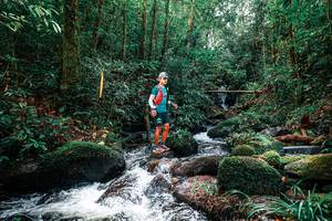 BIB: 
                            <button type="button" onclick="openModal(25244338)" class="btn btn-primary btn-sm float-right btn-popup" data-toggle="modal" data-target=".modal-high-quality">
                        <i class="fas fa-shopping-cart"></i> Add to Cart
                    </button>
                                            <button type="button" onclick="isThisMe(25244338, true)" class="btn btn-success btn-sm float-right btn-popup btn-isme hidden" data-toggle="tooltip" data-placement="bottom" title="นี่คือรูปของคุณใช่ไหม คลิกที่นี่เพื่อเอาเข้าอัลบั้ม">
                        <i class="fas fa-plus"></i> Add to album
                    </button>
                    <button type="button" onclick="isThisMe(25244338, false)" class="btn btn-warning btn-sm float-right btn-popup btn-isnotme hidden">
                        <i class="fas fa-ban"></i> Remove from album
                    </button>