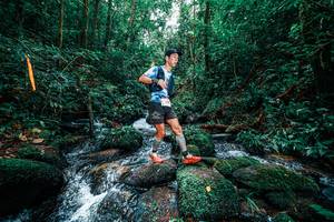 BIB: 
                            <button type="button" onclick="openModal(25244825)" class="btn btn-primary btn-sm float-right btn-popup" data-toggle="modal" data-target=".modal-high-quality">
                        <i class="fas fa-shopping-cart"></i> Add to Cart
                    </button>
                                            <button type="button" onclick="isThisMe(25244825, true)" class="btn btn-success btn-sm float-right btn-popup btn-isme hidden" data-toggle="tooltip" data-placement="bottom" title="นี่คือรูปของคุณใช่ไหม คลิกที่นี่เพื่อเอาเข้าอัลบั้ม">
                        <i class="fas fa-plus"></i> Add to album
                    </button>
                    <button type="button" onclick="isThisMe(25244825, false)" class="btn btn-warning btn-sm float-right btn-popup btn-isnotme hidden">
                        <i class="fas fa-ban"></i> Remove from album
                    </button>