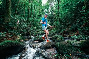 BIB: 
                            <button type="button" onclick="openModal(25245189)" class="btn btn-primary btn-sm float-right btn-popup" data-toggle="modal" data-target=".modal-high-quality">
                        <i class="fas fa-shopping-cart"></i> Add to Cart
                    </button>
                                            <button type="button" onclick="isThisMe(25245189, true)" class="btn btn-success btn-sm float-right btn-popup btn-isme hidden" data-toggle="tooltip" data-placement="bottom" title="นี่คือรูปของคุณใช่ไหม คลิกที่นี่เพื่อเอาเข้าอัลบั้ม">
                        <i class="fas fa-plus"></i> Add to album
                    </button>
                    <button type="button" onclick="isThisMe(25245189, false)" class="btn btn-warning btn-sm float-right btn-popup btn-isnotme hidden">
                        <i class="fas fa-ban"></i> Remove from album
                    </button>