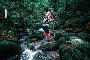 BIB: 
                            <button type="button" onclick="openModal(25246029)" class="btn btn-primary btn-sm float-right btn-popup" data-toggle="modal" data-target=".modal-high-quality">
                        <i class="fas fa-shopping-cart"></i> Add to Cart
                    </button>
                                            <button type="button" onclick="isThisMe(25246029, true)" class="btn btn-success btn-sm float-right btn-popup btn-isme hidden" data-toggle="tooltip" data-placement="bottom" title="นี่คือรูปของคุณใช่ไหม คลิกที่นี่เพื่อเอาเข้าอัลบั้ม">
                        <i class="fas fa-plus"></i> Add to album
                    </button>
                    <button type="button" onclick="isThisMe(25246029, false)" class="btn btn-warning btn-sm float-right btn-popup btn-isnotme hidden">
                        <i class="fas fa-ban"></i> Remove from album
                    </button>