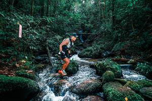 BIB: 
                            <button type="button" onclick="openModal(25244876)" class="btn btn-primary btn-sm float-right btn-popup" data-toggle="modal" data-target=".modal-high-quality">
                        <i class="fas fa-shopping-cart"></i> Add to Cart
                    </button>
                                            <button type="button" onclick="isThisMe(25244876, true)" class="btn btn-success btn-sm float-right btn-popup btn-isme hidden" data-toggle="tooltip" data-placement="bottom" title="นี่คือรูปของคุณใช่ไหม คลิกที่นี่เพื่อเอาเข้าอัลบั้ม">
                        <i class="fas fa-plus"></i> Add to album
                    </button>
                    <button type="button" onclick="isThisMe(25244876, false)" class="btn btn-warning btn-sm float-right btn-popup btn-isnotme hidden">
                        <i class="fas fa-ban"></i> Remove from album
                    </button>