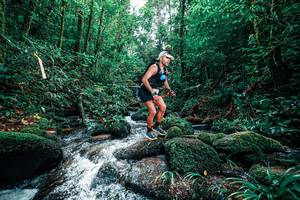 BIB: 
                            <button type="button" onclick="openModal(25245165)" class="btn btn-primary btn-sm float-right btn-popup" data-toggle="modal" data-target=".modal-high-quality">
                        <i class="fas fa-shopping-cart"></i> Add to Cart
                    </button>
                                            <button type="button" onclick="isThisMe(25245165, true)" class="btn btn-success btn-sm float-right btn-popup btn-isme hidden" data-toggle="tooltip" data-placement="bottom" title="นี่คือรูปของคุณใช่ไหม คลิกที่นี่เพื่อเอาเข้าอัลบั้ม">
                        <i class="fas fa-plus"></i> Add to album
                    </button>
                    <button type="button" onclick="isThisMe(25245165, false)" class="btn btn-warning btn-sm float-right btn-popup btn-isnotme hidden">
                        <i class="fas fa-ban"></i> Remove from album
                    </button>