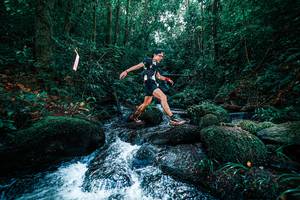 BIB: 
                            <button type="button" onclick="openModal(25246153)" class="btn btn-primary btn-sm float-right btn-popup" data-toggle="modal" data-target=".modal-high-quality">
                        <i class="fas fa-shopping-cart"></i> Add to Cart
                    </button>
                                            <button type="button" onclick="isThisMe(25246153, true)" class="btn btn-success btn-sm float-right btn-popup btn-isme hidden" data-toggle="tooltip" data-placement="bottom" title="นี่คือรูปของคุณใช่ไหม คลิกที่นี่เพื่อเอาเข้าอัลบั้ม">
                        <i class="fas fa-plus"></i> Add to album
                    </button>
                    <button type="button" onclick="isThisMe(25246153, false)" class="btn btn-warning btn-sm float-right btn-popup btn-isnotme hidden">
                        <i class="fas fa-ban"></i> Remove from album
                    </button>