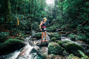 BIB: 
                            <button type="button" onclick="openModal(25244575)" class="btn btn-primary btn-sm float-right btn-popup" data-toggle="modal" data-target=".modal-high-quality">
                        <i class="fas fa-shopping-cart"></i> Add to Cart
                    </button>
                                            <button type="button" onclick="isThisMe(25244575, true)" class="btn btn-success btn-sm float-right btn-popup btn-isme hidden" data-toggle="tooltip" data-placement="bottom" title="นี่คือรูปของคุณใช่ไหม คลิกที่นี่เพื่อเอาเข้าอัลบั้ม">
                        <i class="fas fa-plus"></i> Add to album
                    </button>
                    <button type="button" onclick="isThisMe(25244575, false)" class="btn btn-warning btn-sm float-right btn-popup btn-isnotme hidden">
                        <i class="fas fa-ban"></i> Remove from album
                    </button>