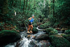 BIB: 
                            <button type="button" onclick="openModal(25245335)" class="btn btn-primary btn-sm float-right btn-popup" data-toggle="modal" data-target=".modal-high-quality">
                        <i class="fas fa-shopping-cart"></i> Add to Cart
                    </button>
                                            <button type="button" onclick="isThisMe(25245335, true)" class="btn btn-success btn-sm float-right btn-popup btn-isme hidden" data-toggle="tooltip" data-placement="bottom" title="นี่คือรูปของคุณใช่ไหม คลิกที่นี่เพื่อเอาเข้าอัลบั้ม">
                        <i class="fas fa-plus"></i> Add to album
                    </button>
                    <button type="button" onclick="isThisMe(25245335, false)" class="btn btn-warning btn-sm float-right btn-popup btn-isnotme hidden">
                        <i class="fas fa-ban"></i> Remove from album
                    </button>