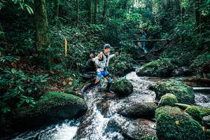 BIB: 
                            <button type="button" onclick="openModal(25244520)" class="btn btn-primary btn-sm float-right btn-popup" data-toggle="modal" data-target=".modal-high-quality">
                        <i class="fas fa-shopping-cart"></i> Add to Cart
                    </button>
                                            <button type="button" onclick="isThisMe(25244520, true)" class="btn btn-success btn-sm float-right btn-popup btn-isme hidden" data-toggle="tooltip" data-placement="bottom" title="นี่คือรูปของคุณใช่ไหม คลิกที่นี่เพื่อเอาเข้าอัลบั้ม">
                        <i class="fas fa-plus"></i> Add to album
                    </button>
                    <button type="button" onclick="isThisMe(25244520, false)" class="btn btn-warning btn-sm float-right btn-popup btn-isnotme hidden">
                        <i class="fas fa-ban"></i> Remove from album
                    </button>