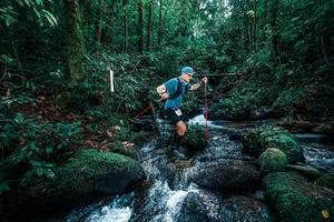 BIB: 
                            <button type="button" onclick="openModal(25244926)" class="btn btn-primary btn-sm float-right btn-popup" data-toggle="modal" data-target=".modal-high-quality">
                        <i class="fas fa-shopping-cart"></i> Add to Cart
                    </button>
                                            <button type="button" onclick="isThisMe(25244926, true)" class="btn btn-success btn-sm float-right btn-popup btn-isme hidden" data-toggle="tooltip" data-placement="bottom" title="นี่คือรูปของคุณใช่ไหม คลิกที่นี่เพื่อเอาเข้าอัลบั้ม">
                        <i class="fas fa-plus"></i> Add to album
                    </button>
                    <button type="button" onclick="isThisMe(25244926, false)" class="btn btn-warning btn-sm float-right btn-popup btn-isnotme hidden">
                        <i class="fas fa-ban"></i> Remove from album
                    </button>