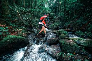 BIB: 
                            <button type="button" onclick="openModal(25246504)" class="btn btn-primary btn-sm float-right btn-popup" data-toggle="modal" data-target=".modal-high-quality">
                        <i class="fas fa-shopping-cart"></i> Add to Cart
                    </button>
                                            <button type="button" onclick="isThisMe(25246504, true)" class="btn btn-success btn-sm float-right btn-popup btn-isme hidden" data-toggle="tooltip" data-placement="bottom" title="นี่คือรูปของคุณใช่ไหม คลิกที่นี่เพื่อเอาเข้าอัลบั้ม">
                        <i class="fas fa-plus"></i> Add to album
                    </button>
                    <button type="button" onclick="isThisMe(25246504, false)" class="btn btn-warning btn-sm float-right btn-popup btn-isnotme hidden">
                        <i class="fas fa-ban"></i> Remove from album
                    </button>