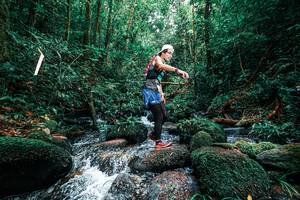 BIB: 
                            <button type="button" onclick="openModal(25245382)" class="btn btn-primary btn-sm float-right btn-popup" data-toggle="modal" data-target=".modal-high-quality">
                        <i class="fas fa-shopping-cart"></i> Add to Cart
                    </button>
                                            <button type="button" onclick="isThisMe(25245382, true)" class="btn btn-success btn-sm float-right btn-popup btn-isme hidden" data-toggle="tooltip" data-placement="bottom" title="นี่คือรูปของคุณใช่ไหม คลิกที่นี่เพื่อเอาเข้าอัลบั้ม">
                        <i class="fas fa-plus"></i> Add to album
                    </button>
                    <button type="button" onclick="isThisMe(25245382, false)" class="btn btn-warning btn-sm float-right btn-popup btn-isnotme hidden">
                        <i class="fas fa-ban"></i> Remove from album
                    </button>