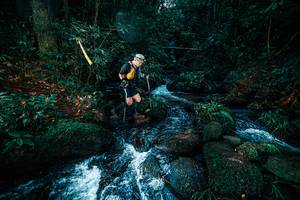 BIB: 
                            <button type="button" onclick="openModal(25247707)" class="btn btn-primary btn-sm float-right btn-popup" data-toggle="modal" data-target=".modal-high-quality">
                        <i class="fas fa-shopping-cart"></i> Add to Cart
                    </button>
                                            <button type="button" onclick="isThisMe(25247707, true)" class="btn btn-success btn-sm float-right btn-popup btn-isme hidden" data-toggle="tooltip" data-placement="bottom" title="นี่คือรูปของคุณใช่ไหม คลิกที่นี่เพื่อเอาเข้าอัลบั้ม">
                        <i class="fas fa-plus"></i> Add to album
                    </button>
                    <button type="button" onclick="isThisMe(25247707, false)" class="btn btn-warning btn-sm float-right btn-popup btn-isnotme hidden">
                        <i class="fas fa-ban"></i> Remove from album
                    </button>