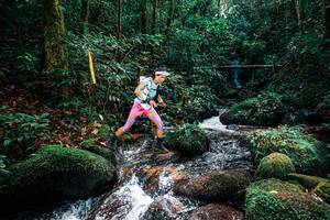 BIB: 
                            <button type="button" onclick="openModal(25244417)" class="btn btn-primary btn-sm float-right btn-popup" data-toggle="modal" data-target=".modal-high-quality">
                        <i class="fas fa-shopping-cart"></i> Add to Cart
                    </button>
                                            <button type="button" onclick="isThisMe(25244417, true)" class="btn btn-success btn-sm float-right btn-popup btn-isme hidden" data-toggle="tooltip" data-placement="bottom" title="นี่คือรูปของคุณใช่ไหม คลิกที่นี่เพื่อเอาเข้าอัลบั้ม">
                        <i class="fas fa-plus"></i> Add to album
                    </button>
                    <button type="button" onclick="isThisMe(25244417, false)" class="btn btn-warning btn-sm float-right btn-popup btn-isnotme hidden">
                        <i class="fas fa-ban"></i> Remove from album
                    </button>