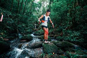 BIB: 
                            <button type="button" onclick="openModal(25245477)" class="btn btn-primary btn-sm float-right btn-popup" data-toggle="modal" data-target=".modal-high-quality">
                        <i class="fas fa-shopping-cart"></i> Add to Cart
                    </button>
                                            <button type="button" onclick="isThisMe(25245477, true)" class="btn btn-success btn-sm float-right btn-popup btn-isme hidden" data-toggle="tooltip" data-placement="bottom" title="นี่คือรูปของคุณใช่ไหม คลิกที่นี่เพื่อเอาเข้าอัลบั้ม">
                        <i class="fas fa-plus"></i> Add to album
                    </button>
                    <button type="button" onclick="isThisMe(25245477, false)" class="btn btn-warning btn-sm float-right btn-popup btn-isnotme hidden">
                        <i class="fas fa-ban"></i> Remove from album
                    </button>