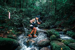 BIB: 
                            <button type="button" onclick="openModal(25244878)" class="btn btn-primary btn-sm float-right btn-popup" data-toggle="modal" data-target=".modal-high-quality">
                        <i class="fas fa-shopping-cart"></i> Add to Cart
                    </button>
                                            <button type="button" onclick="isThisMe(25244878, true)" class="btn btn-success btn-sm float-right btn-popup btn-isme hidden" data-toggle="tooltip" data-placement="bottom" title="นี่คือรูปของคุณใช่ไหม คลิกที่นี่เพื่อเอาเข้าอัลบั้ม">
                        <i class="fas fa-plus"></i> Add to album
                    </button>
                    <button type="button" onclick="isThisMe(25244878, false)" class="btn btn-warning btn-sm float-right btn-popup btn-isnotme hidden">
                        <i class="fas fa-ban"></i> Remove from album
                    </button>