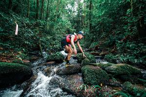 BIB: 
                            <button type="button" onclick="openModal(25245451)" class="btn btn-primary btn-sm float-right btn-popup" data-toggle="modal" data-target=".modal-high-quality">
                        <i class="fas fa-shopping-cart"></i> Add to Cart
                    </button>
                                            <button type="button" onclick="isThisMe(25245451, true)" class="btn btn-success btn-sm float-right btn-popup btn-isme hidden" data-toggle="tooltip" data-placement="bottom" title="นี่คือรูปของคุณใช่ไหม คลิกที่นี่เพื่อเอาเข้าอัลบั้ม">
                        <i class="fas fa-plus"></i> Add to album
                    </button>
                    <button type="button" onclick="isThisMe(25245451, false)" class="btn btn-warning btn-sm float-right btn-popup btn-isnotme hidden">
                        <i class="fas fa-ban"></i> Remove from album
                    </button>