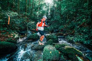 BIB: 
                            <button type="button" onclick="openModal(25244659)" class="btn btn-primary btn-sm float-right btn-popup" data-toggle="modal" data-target=".modal-high-quality">
                        <i class="fas fa-shopping-cart"></i> Add to Cart
                    </button>
                                            <button type="button" onclick="isThisMe(25244659, true)" class="btn btn-success btn-sm float-right btn-popup btn-isme hidden" data-toggle="tooltip" data-placement="bottom" title="นี่คือรูปของคุณใช่ไหม คลิกที่นี่เพื่อเอาเข้าอัลบั้ม">
                        <i class="fas fa-plus"></i> Add to album
                    </button>
                    <button type="button" onclick="isThisMe(25244659, false)" class="btn btn-warning btn-sm float-right btn-popup btn-isnotme hidden">
                        <i class="fas fa-ban"></i> Remove from album
                    </button>