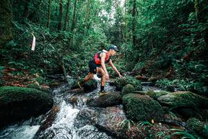 BIB: 
                            <button type="button" onclick="openModal(25245447)" class="btn btn-primary btn-sm float-right btn-popup" data-toggle="modal" data-target=".modal-high-quality">
                        <i class="fas fa-shopping-cart"></i> Add to Cart
                    </button>
                                            <button type="button" onclick="isThisMe(25245447, true)" class="btn btn-success btn-sm float-right btn-popup btn-isme hidden" data-toggle="tooltip" data-placement="bottom" title="นี่คือรูปของคุณใช่ไหม คลิกที่นี่เพื่อเอาเข้าอัลบั้ม">
                        <i class="fas fa-plus"></i> Add to album
                    </button>
                    <button type="button" onclick="isThisMe(25245447, false)" class="btn btn-warning btn-sm float-right btn-popup btn-isnotme hidden">
                        <i class="fas fa-ban"></i> Remove from album
                    </button>