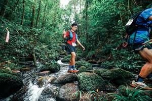 BIB: 
                            <button type="button" onclick="openModal(25245438)" class="btn btn-primary btn-sm float-right btn-popup" data-toggle="modal" data-target=".modal-high-quality">
                        <i class="fas fa-shopping-cart"></i> Add to Cart
                    </button>
                                            <button type="button" onclick="isThisMe(25245438, true)" class="btn btn-success btn-sm float-right btn-popup btn-isme hidden" data-toggle="tooltip" data-placement="bottom" title="นี่คือรูปของคุณใช่ไหม คลิกที่นี่เพื่อเอาเข้าอัลบั้ม">
                        <i class="fas fa-plus"></i> Add to album
                    </button>
                    <button type="button" onclick="isThisMe(25245438, false)" class="btn btn-warning btn-sm float-right btn-popup btn-isnotme hidden">
                        <i class="fas fa-ban"></i> Remove from album
                    </button>