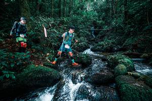 BIB: 
                            <button type="button" onclick="openModal(25245900)" class="btn btn-primary btn-sm float-right btn-popup" data-toggle="modal" data-target=".modal-high-quality">
                        <i class="fas fa-shopping-cart"></i> Add to Cart
                    </button>
                                            <button type="button" onclick="isThisMe(25245900, true)" class="btn btn-success btn-sm float-right btn-popup btn-isme hidden" data-toggle="tooltip" data-placement="bottom" title="นี่คือรูปของคุณใช่ไหม คลิกที่นี่เพื่อเอาเข้าอัลบั้ม">
                        <i class="fas fa-plus"></i> Add to album
                    </button>
                    <button type="button" onclick="isThisMe(25245900, false)" class="btn btn-warning btn-sm float-right btn-popup btn-isnotme hidden">
                        <i class="fas fa-ban"></i> Remove from album
                    </button>