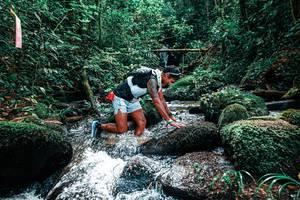 BIB: 
                            <button type="button" onclick="openModal(25245566)" class="btn btn-primary btn-sm float-right btn-popup" data-toggle="modal" data-target=".modal-high-quality">
                        <i class="fas fa-shopping-cart"></i> Add to Cart
                    </button>
                                            <button type="button" onclick="isThisMe(25245566, true)" class="btn btn-success btn-sm float-right btn-popup btn-isme hidden" data-toggle="tooltip" data-placement="bottom" title="นี่คือรูปของคุณใช่ไหม คลิกที่นี่เพื่อเอาเข้าอัลบั้ม">
                        <i class="fas fa-plus"></i> Add to album
                    </button>
                    <button type="button" onclick="isThisMe(25245566, false)" class="btn btn-warning btn-sm float-right btn-popup btn-isnotme hidden">
                        <i class="fas fa-ban"></i> Remove from album
                    </button>