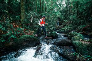 BIB: 
                            <button type="button" onclick="openModal(25246040)" class="btn btn-primary btn-sm float-right btn-popup" data-toggle="modal" data-target=".modal-high-quality">
                        <i class="fas fa-shopping-cart"></i> Add to Cart
                    </button>
                                            <button type="button" onclick="isThisMe(25246040, true)" class="btn btn-success btn-sm float-right btn-popup btn-isme hidden" data-toggle="tooltip" data-placement="bottom" title="นี่คือรูปของคุณใช่ไหม คลิกที่นี่เพื่อเอาเข้าอัลบั้ม">
                        <i class="fas fa-plus"></i> Add to album
                    </button>
                    <button type="button" onclick="isThisMe(25246040, false)" class="btn btn-warning btn-sm float-right btn-popup btn-isnotme hidden">
                        <i class="fas fa-ban"></i> Remove from album
                    </button>