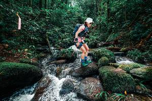 BIB: 
                            <button type="button" onclick="openModal(25246285)" class="btn btn-primary btn-sm float-right btn-popup" data-toggle="modal" data-target=".modal-high-quality">
                        <i class="fas fa-shopping-cart"></i> Add to Cart
                    </button>
                                            <button type="button" onclick="isThisMe(25246285, true)" class="btn btn-success btn-sm float-right btn-popup btn-isme hidden" data-toggle="tooltip" data-placement="bottom" title="นี่คือรูปของคุณใช่ไหม คลิกที่นี่เพื่อเอาเข้าอัลบั้ม">
                        <i class="fas fa-plus"></i> Add to album
                    </button>
                    <button type="button" onclick="isThisMe(25246285, false)" class="btn btn-warning btn-sm float-right btn-popup btn-isnotme hidden">
                        <i class="fas fa-ban"></i> Remove from album
                    </button>