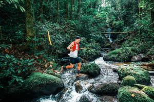 BIB: 
                            <button type="button" onclick="openModal(25244477)" class="btn btn-primary btn-sm float-right btn-popup" data-toggle="modal" data-target=".modal-high-quality">
                        <i class="fas fa-shopping-cart"></i> Add to Cart
                    </button>
                                            <button type="button" onclick="isThisMe(25244477, true)" class="btn btn-success btn-sm float-right btn-popup btn-isme hidden" data-toggle="tooltip" data-placement="bottom" title="นี่คือรูปของคุณใช่ไหม คลิกที่นี่เพื่อเอาเข้าอัลบั้ม">
                        <i class="fas fa-plus"></i> Add to album
                    </button>
                    <button type="button" onclick="isThisMe(25244477, false)" class="btn btn-warning btn-sm float-right btn-popup btn-isnotme hidden">
                        <i class="fas fa-ban"></i> Remove from album
                    </button>