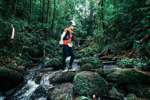 BIB: 
                            <button type="button" onclick="openModal(25245615)" class="btn btn-primary btn-sm float-right btn-popup" data-toggle="modal" data-target=".modal-high-quality">
                        <i class="fas fa-shopping-cart"></i> Add to Cart
                    </button>
                                            <button type="button" onclick="isThisMe(25245615, true)" class="btn btn-success btn-sm float-right btn-popup btn-isme hidden" data-toggle="tooltip" data-placement="bottom" title="นี่คือรูปของคุณใช่ไหม คลิกที่นี่เพื่อเอาเข้าอัลบั้ม">
                        <i class="fas fa-plus"></i> Add to album
                    </button>
                    <button type="button" onclick="isThisMe(25245615, false)" class="btn btn-warning btn-sm float-right btn-popup btn-isnotme hidden">
                        <i class="fas fa-ban"></i> Remove from album
                    </button>