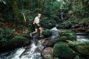 BIB: 
                            <button type="button" onclick="openModal(25244099)" class="btn btn-primary btn-sm float-right btn-popup" data-toggle="modal" data-target=".modal-high-quality">
                        <i class="fas fa-shopping-cart"></i> Add to Cart
                    </button>
                                            <button type="button" onclick="isThisMe(25244099, true)" class="btn btn-success btn-sm float-right btn-popup btn-isme hidden" data-toggle="tooltip" data-placement="bottom" title="นี่คือรูปของคุณใช่ไหม คลิกที่นี่เพื่อเอาเข้าอัลบั้ม">
                        <i class="fas fa-plus"></i> Add to album
                    </button>
                    <button type="button" onclick="isThisMe(25244099, false)" class="btn btn-warning btn-sm float-right btn-popup btn-isnotme hidden">
                        <i class="fas fa-ban"></i> Remove from album
                    </button>