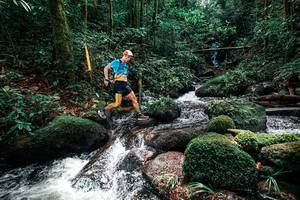 BIB: 
                            <button type="button" onclick="openModal(25244126)" class="btn btn-primary btn-sm float-right btn-popup" data-toggle="modal" data-target=".modal-high-quality">
                        <i class="fas fa-shopping-cart"></i> Add to Cart
                    </button>
                                            <button type="button" onclick="isThisMe(25244126, true)" class="btn btn-success btn-sm float-right btn-popup btn-isme hidden" data-toggle="tooltip" data-placement="bottom" title="นี่คือรูปของคุณใช่ไหม คลิกที่นี่เพื่อเอาเข้าอัลบั้ม">
                        <i class="fas fa-plus"></i> Add to album
                    </button>
                    <button type="button" onclick="isThisMe(25244126, false)" class="btn btn-warning btn-sm float-right btn-popup btn-isnotme hidden">
                        <i class="fas fa-ban"></i> Remove from album
                    </button>