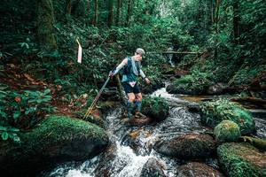 BIB: 
                            <button type="button" onclick="openModal(25246699)" class="btn btn-primary btn-sm float-right btn-popup" data-toggle="modal" data-target=".modal-high-quality">
                        <i class="fas fa-shopping-cart"></i> Add to Cart
                    </button>
                                            <button type="button" onclick="isThisMe(25246699, true)" class="btn btn-success btn-sm float-right btn-popup btn-isme hidden" data-toggle="tooltip" data-placement="bottom" title="นี่คือรูปของคุณใช่ไหม คลิกที่นี่เพื่อเอาเข้าอัลบั้ม">
                        <i class="fas fa-plus"></i> Add to album
                    </button>
                    <button type="button" onclick="isThisMe(25246699, false)" class="btn btn-warning btn-sm float-right btn-popup btn-isnotme hidden">
                        <i class="fas fa-ban"></i> Remove from album
                    </button>