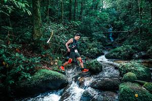 BIB: 
                            <button type="button" onclick="openModal(25244499)" class="btn btn-primary btn-sm float-right btn-popup" data-toggle="modal" data-target=".modal-high-quality">
                        <i class="fas fa-shopping-cart"></i> Add to Cart
                    </button>
                                            <button type="button" onclick="isThisMe(25244499, true)" class="btn btn-success btn-sm float-right btn-popup btn-isme hidden" data-toggle="tooltip" data-placement="bottom" title="นี่คือรูปของคุณใช่ไหม คลิกที่นี่เพื่อเอาเข้าอัลบั้ม">
                        <i class="fas fa-plus"></i> Add to album
                    </button>
                    <button type="button" onclick="isThisMe(25244499, false)" class="btn btn-warning btn-sm float-right btn-popup btn-isnotme hidden">
                        <i class="fas fa-ban"></i> Remove from album
                    </button>