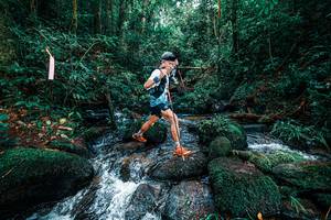 BIB: 
                            <button type="button" onclick="openModal(25246089)" class="btn btn-primary btn-sm float-right btn-popup" data-toggle="modal" data-target=".modal-high-quality">
                        <i class="fas fa-shopping-cart"></i> Add to Cart
                    </button>
                                            <button type="button" onclick="isThisMe(25246089, true)" class="btn btn-success btn-sm float-right btn-popup btn-isme hidden" data-toggle="tooltip" data-placement="bottom" title="นี่คือรูปของคุณใช่ไหม คลิกที่นี่เพื่อเอาเข้าอัลบั้ม">
                        <i class="fas fa-plus"></i> Add to album
                    </button>
                    <button type="button" onclick="isThisMe(25246089, false)" class="btn btn-warning btn-sm float-right btn-popup btn-isnotme hidden">
                        <i class="fas fa-ban"></i> Remove from album
                    </button>