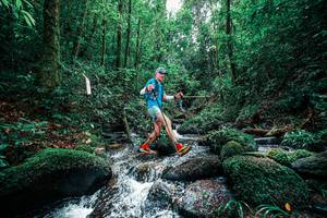 BIB: 
                            <button type="button" onclick="openModal(25245186)" class="btn btn-primary btn-sm float-right btn-popup" data-toggle="modal" data-target=".modal-high-quality">
                        <i class="fas fa-shopping-cart"></i> Add to Cart
                    </button>
                                            <button type="button" onclick="isThisMe(25245186, true)" class="btn btn-success btn-sm float-right btn-popup btn-isme hidden" data-toggle="tooltip" data-placement="bottom" title="นี่คือรูปของคุณใช่ไหม คลิกที่นี่เพื่อเอาเข้าอัลบั้ม">
                        <i class="fas fa-plus"></i> Add to album
                    </button>
                    <button type="button" onclick="isThisMe(25245186, false)" class="btn btn-warning btn-sm float-right btn-popup btn-isnotme hidden">
                        <i class="fas fa-ban"></i> Remove from album
                    </button>