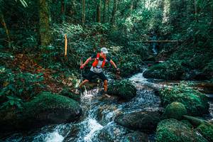 BIB: 
                            <button type="button" onclick="openModal(25244649)" class="btn btn-primary btn-sm float-right btn-popup" data-toggle="modal" data-target=".modal-high-quality">
                        <i class="fas fa-shopping-cart"></i> Add to Cart
                    </button>
                                            <button type="button" onclick="isThisMe(25244649, true)" class="btn btn-success btn-sm float-right btn-popup btn-isme hidden" data-toggle="tooltip" data-placement="bottom" title="นี่คือรูปของคุณใช่ไหม คลิกที่นี่เพื่อเอาเข้าอัลบั้ม">
                        <i class="fas fa-plus"></i> Add to album
                    </button>
                    <button type="button" onclick="isThisMe(25244649, false)" class="btn btn-warning btn-sm float-right btn-popup btn-isnotme hidden">
                        <i class="fas fa-ban"></i> Remove from album
                    </button>