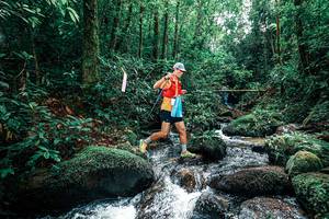 BIB: 
                            <button type="button" onclick="openModal(25245596)" class="btn btn-primary btn-sm float-right btn-popup" data-toggle="modal" data-target=".modal-high-quality">
                        <i class="fas fa-shopping-cart"></i> Add to Cart
                    </button>
                                            <button type="button" onclick="isThisMe(25245596, true)" class="btn btn-success btn-sm float-right btn-popup btn-isme hidden" data-toggle="tooltip" data-placement="bottom" title="นี่คือรูปของคุณใช่ไหม คลิกที่นี่เพื่อเอาเข้าอัลบั้ม">
                        <i class="fas fa-plus"></i> Add to album
                    </button>
                    <button type="button" onclick="isThisMe(25245596, false)" class="btn btn-warning btn-sm float-right btn-popup btn-isnotme hidden">
                        <i class="fas fa-ban"></i> Remove from album
                    </button>